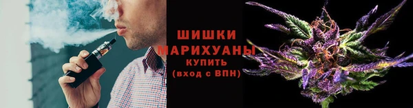 гидропоника Бородино