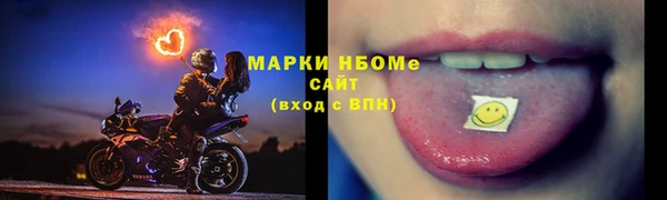 гидропоника Бородино