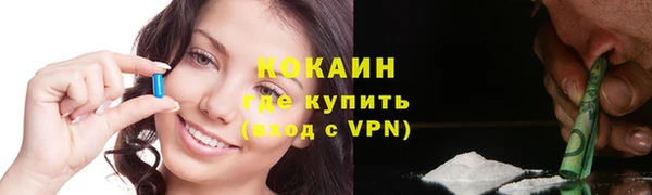 гидропоника Бородино
